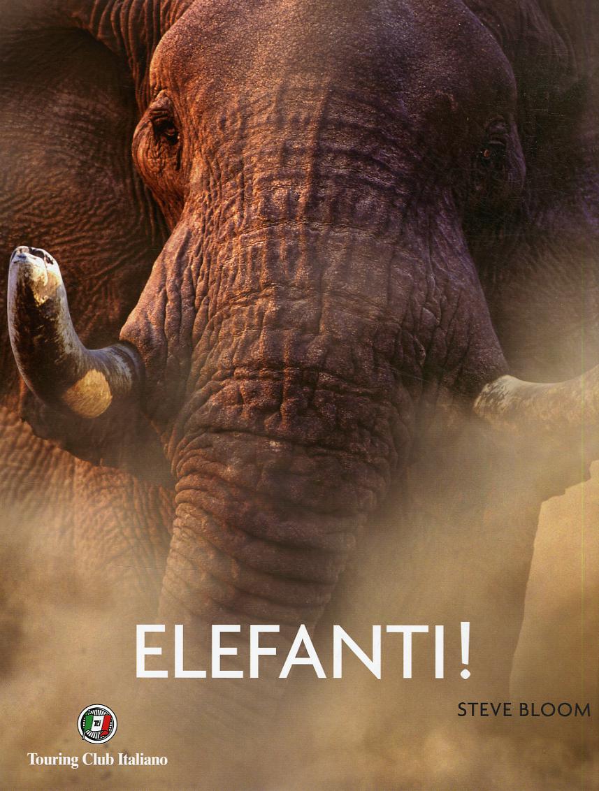 Elefanti!