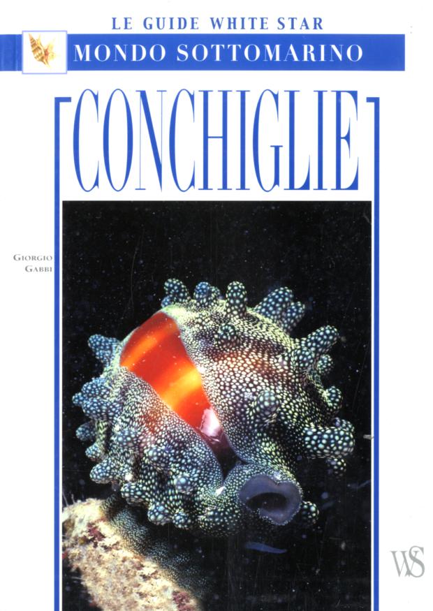 Conchiglie. Ediz. illustrata