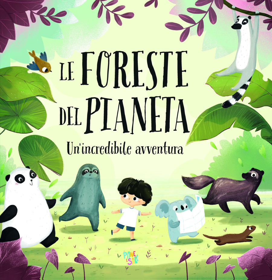 Foreste Del Pianeta Un Incredibile