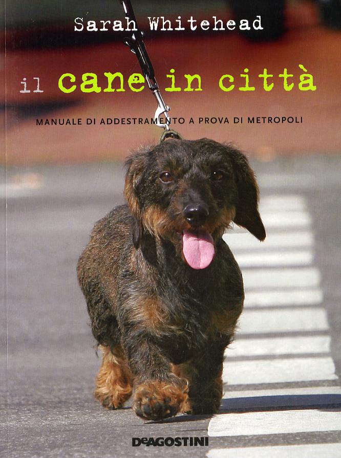 Cane in citta . Manuale di addestramento a prova di metropoli