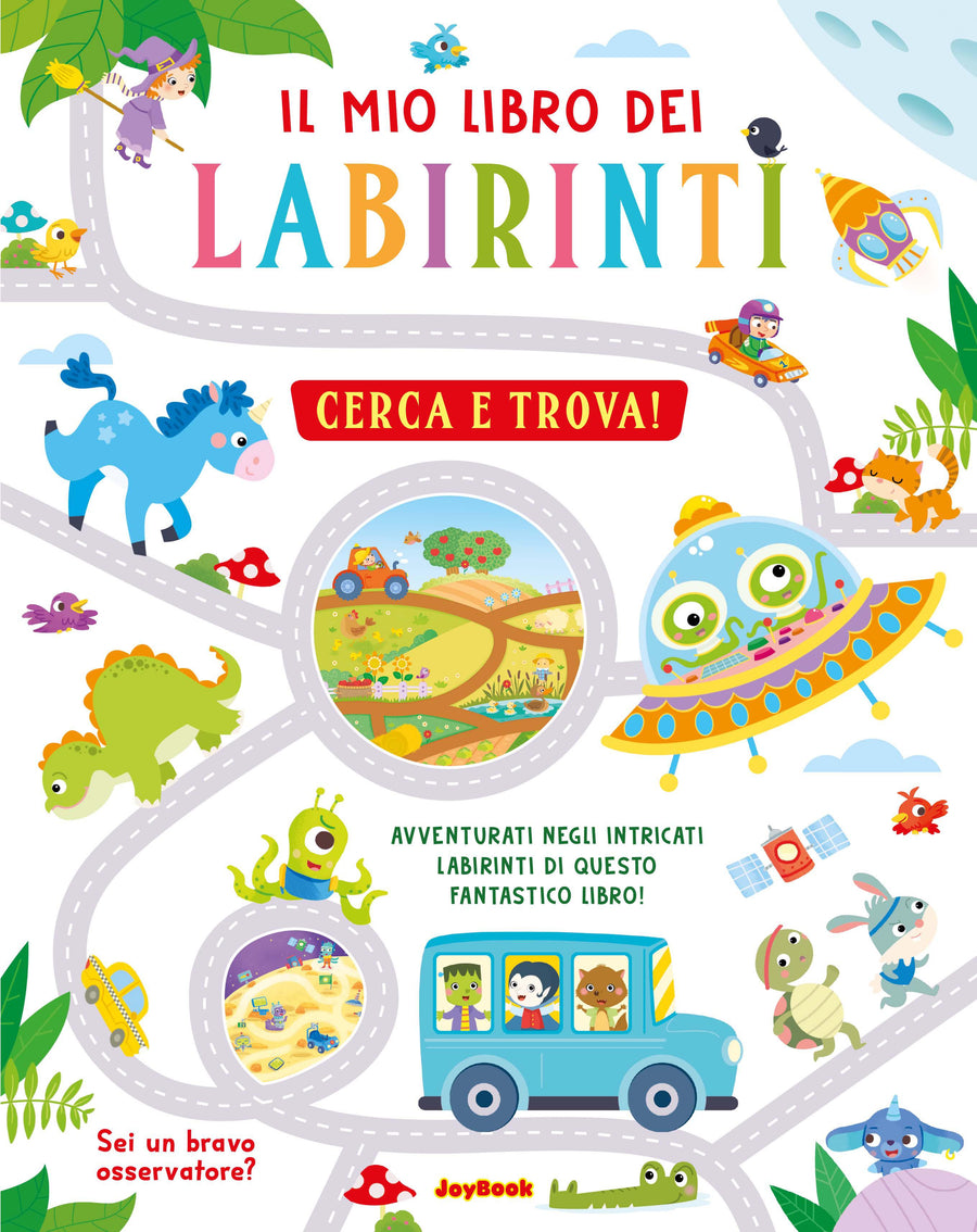 Mio libro dei labirinti. Cerca e trova! Ediz. a colori