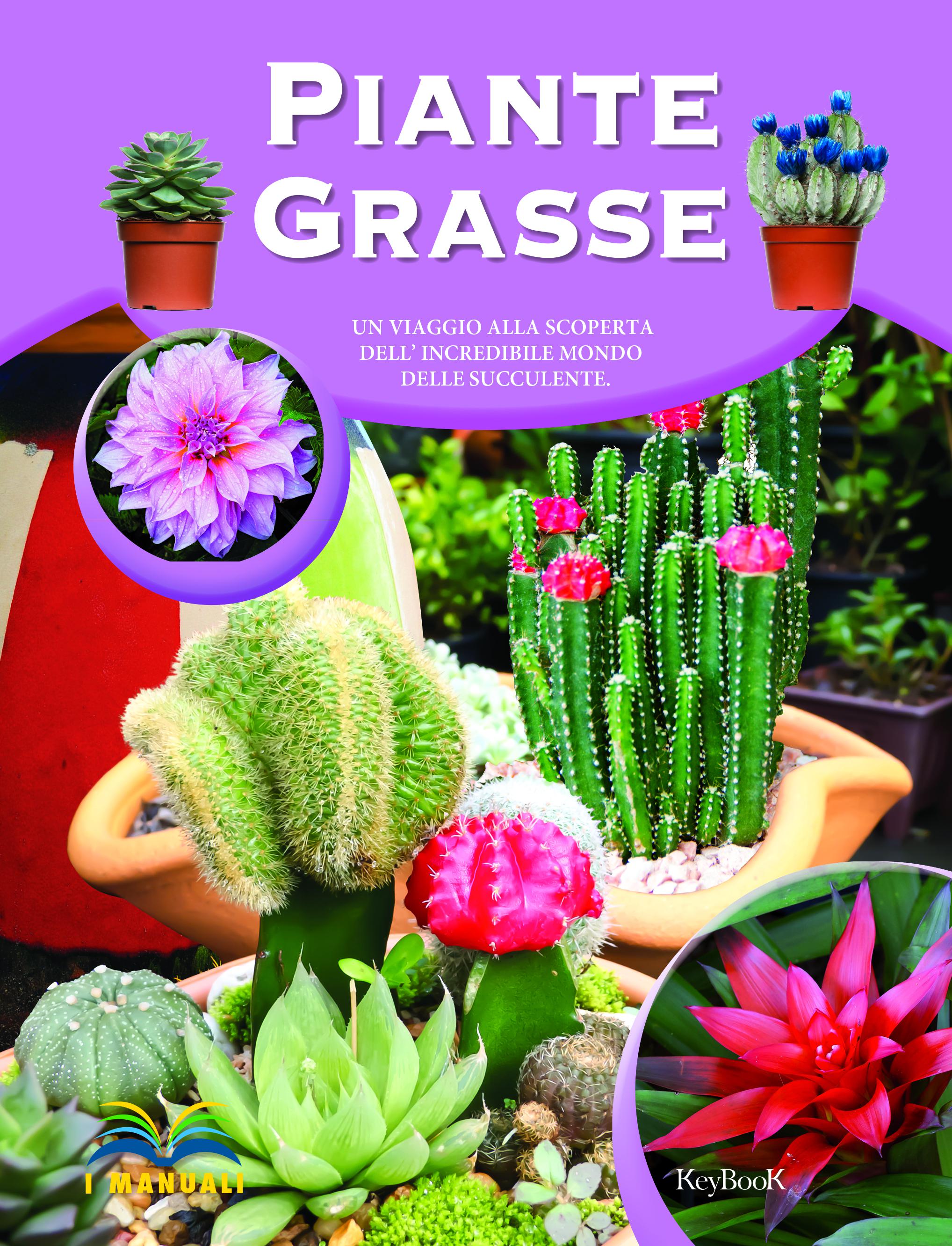 Piante grasse