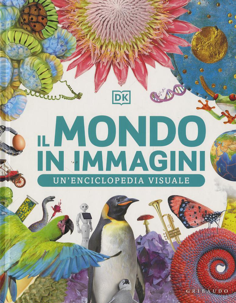 Mondo in immagini. Un enciclopedia visuale. Ediz. illustrata