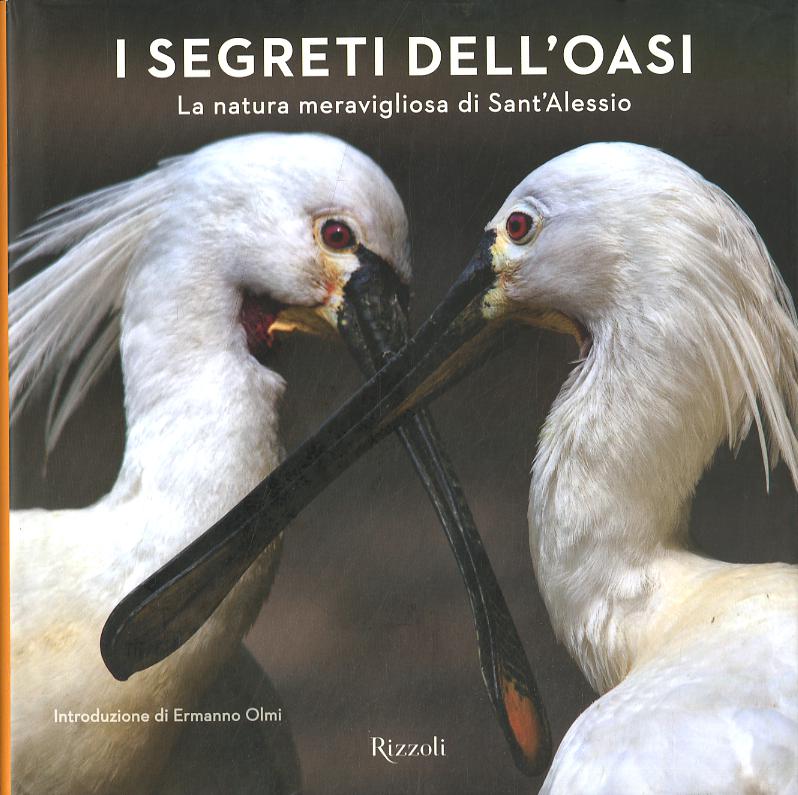 Segreti dell Oasi. La natura meravigliosa di Sant Alessio. Ediz. illustrata