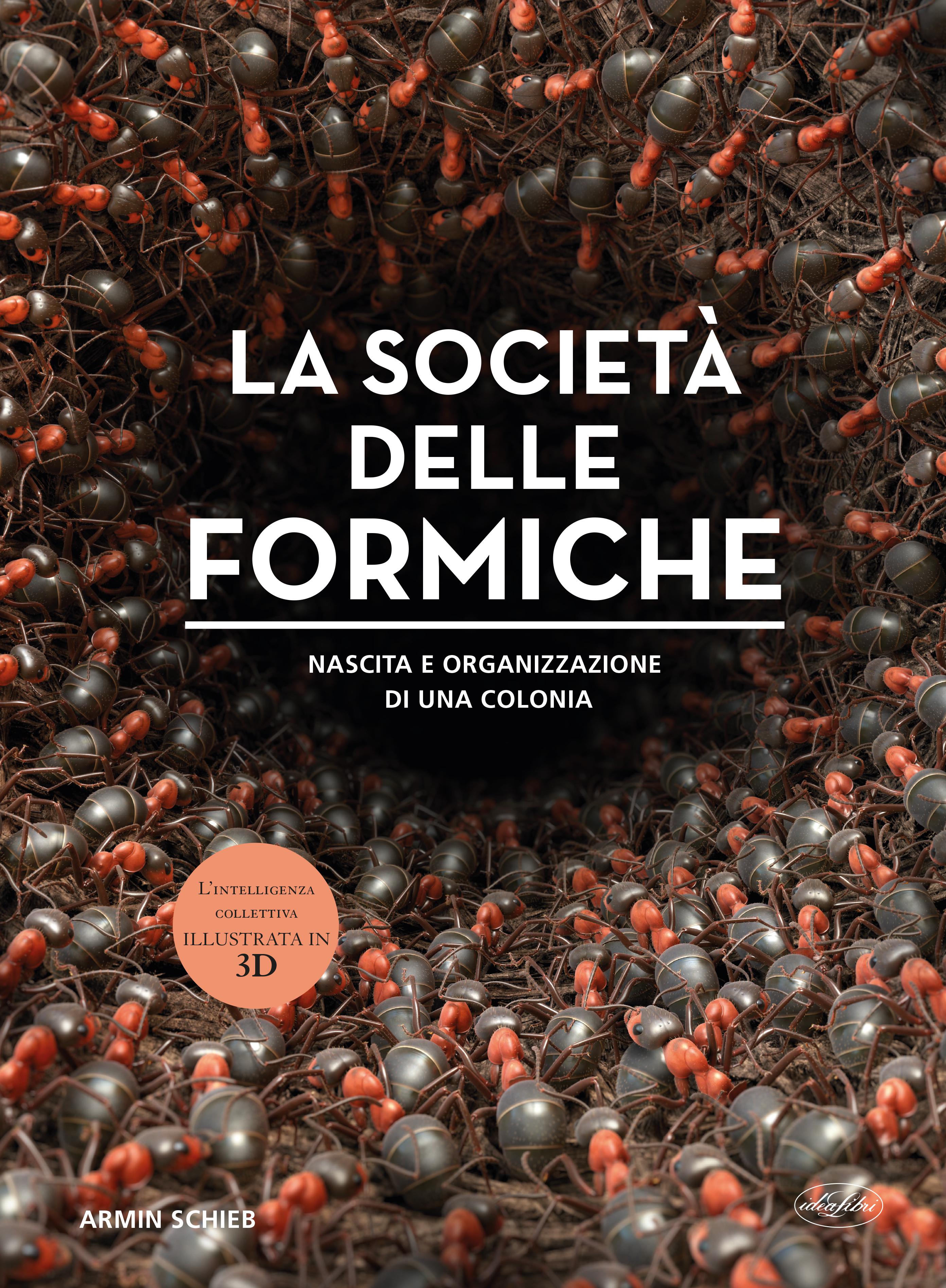 Societa  delle formiche. Ediz. a colori