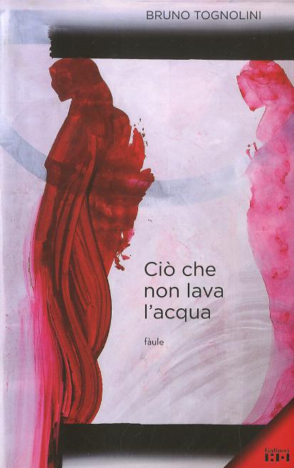 Cio  che non lava l acqua. Ediz. illustrata