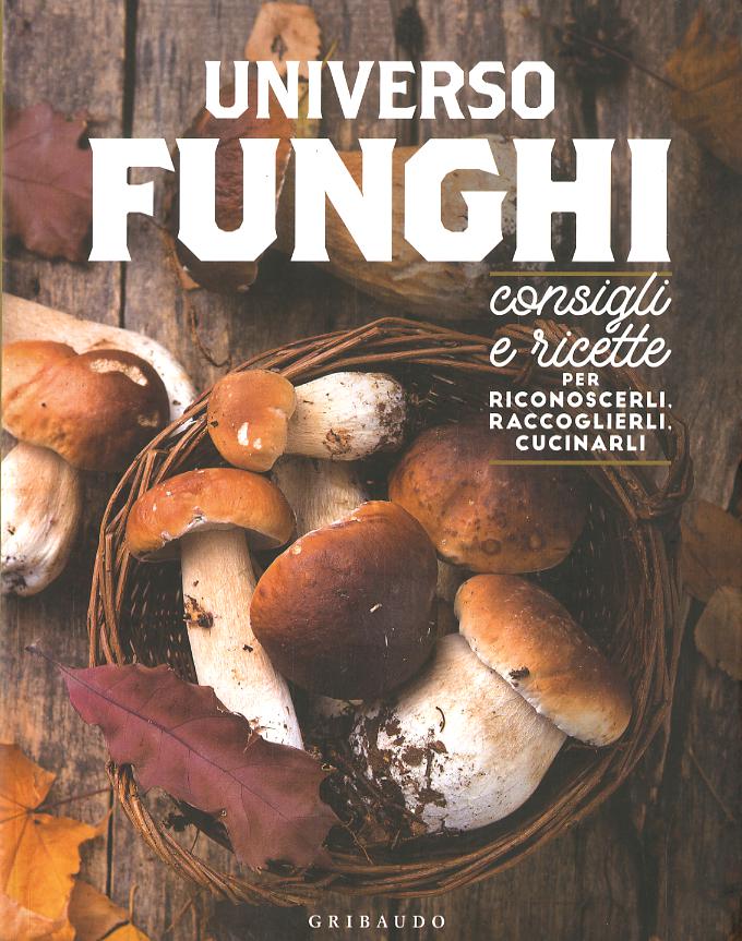 Universo funghi