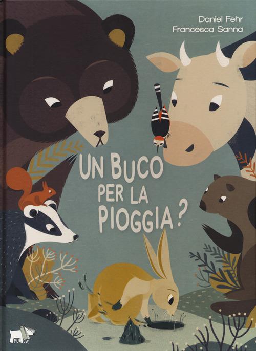 Buco per la pioggia? Ediz. a colori