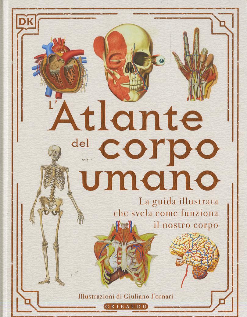 Atlante del corpo umano
