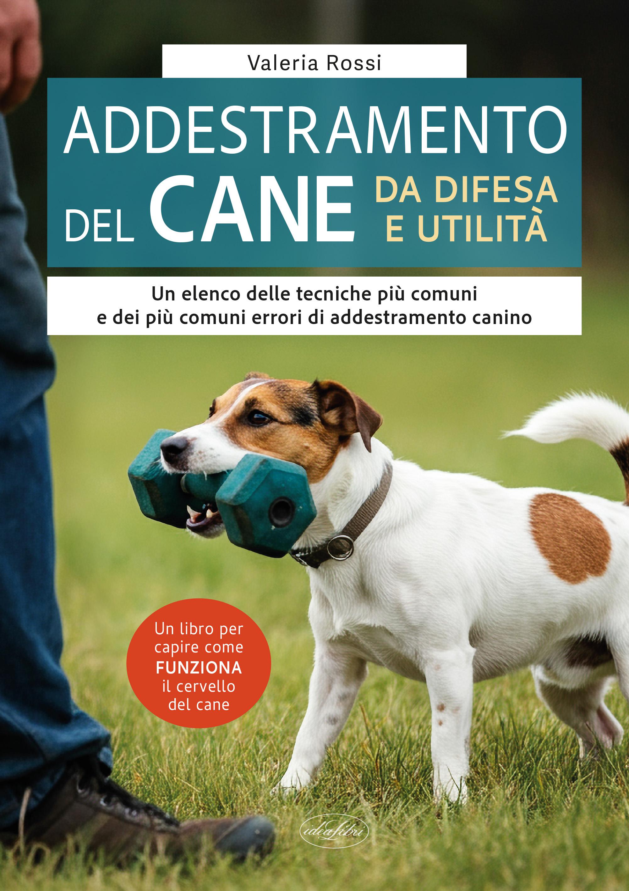 Addestramento del cane da difesa e utilita
