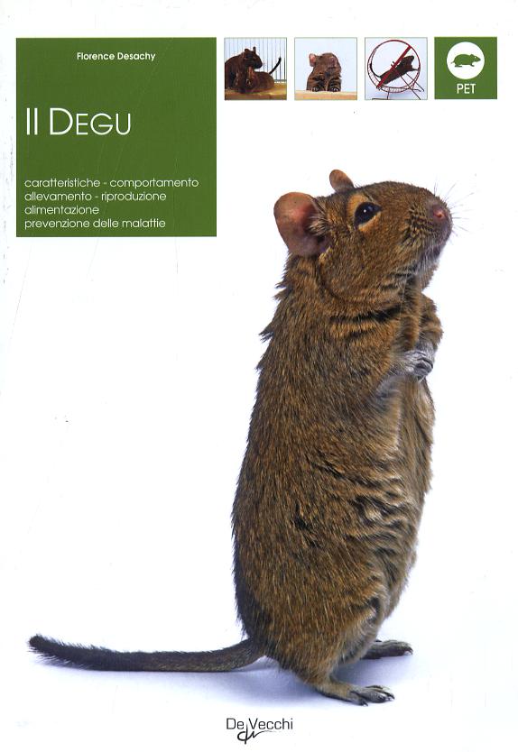 Degu