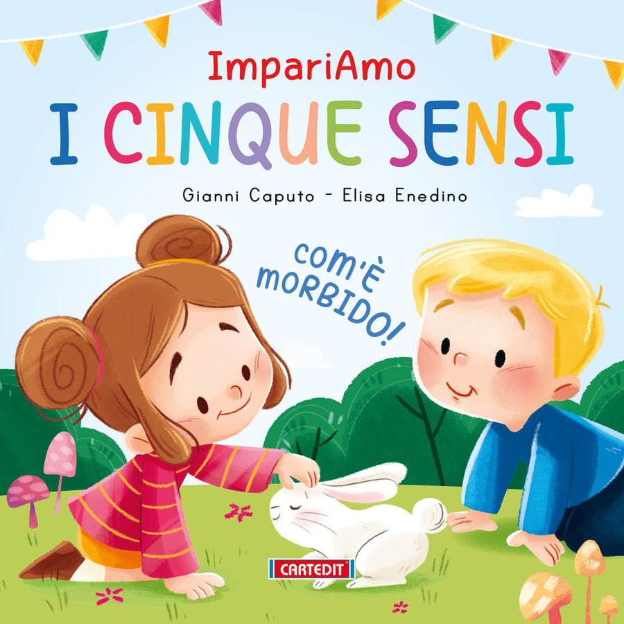 Cinque sensi, i
