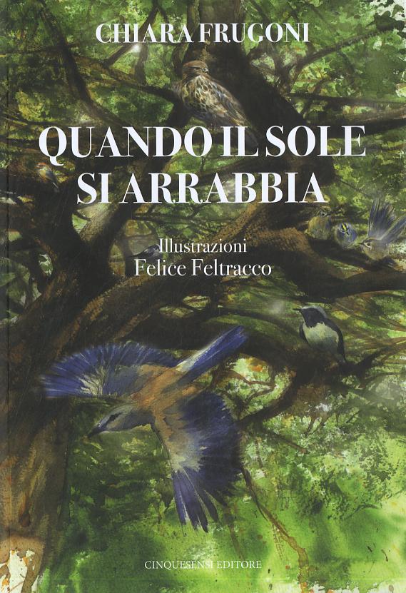 Quando il sole si arrabbia. Ediz. illustrata