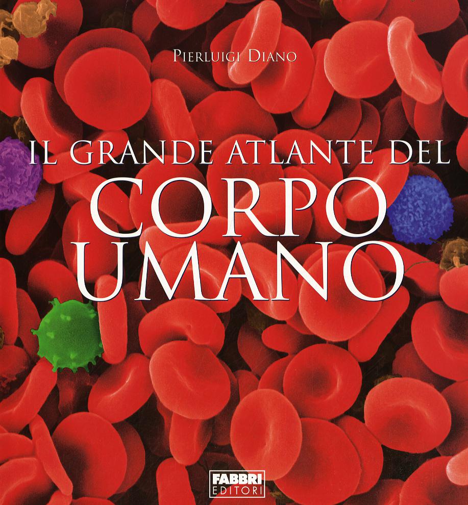 Grande atlante del corpo umano. Ediz. illustrata