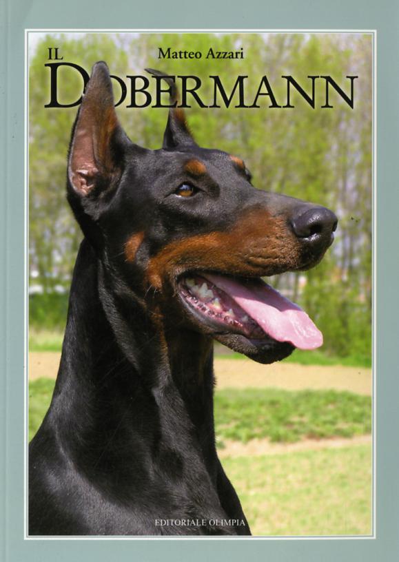 Dobermann