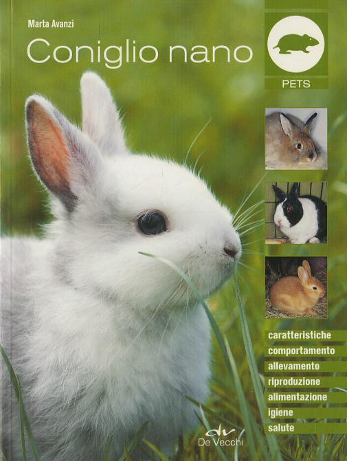 Coniglio nano