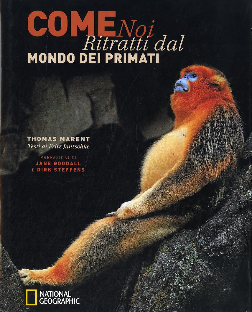 Come noi. Ritratti dal mondo dei primati. Ediz. illustrata