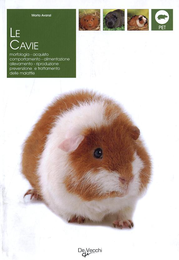 Cavie