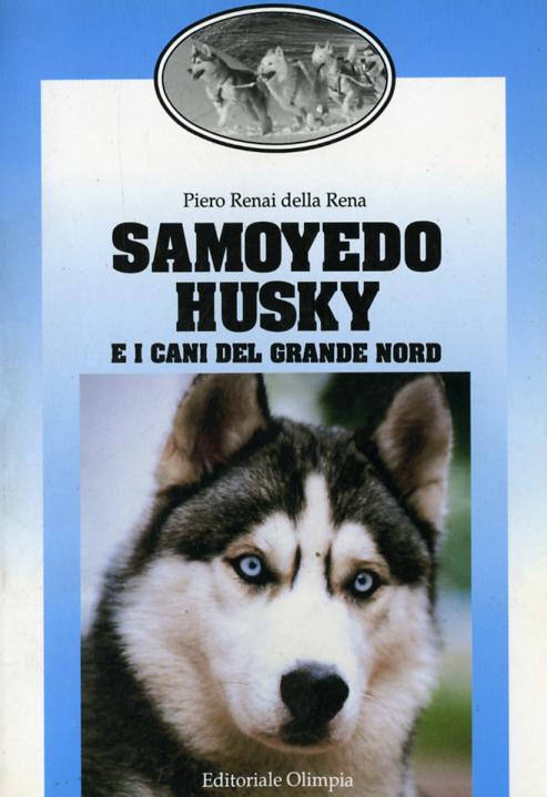 Samoyedo husky e i cani del grande