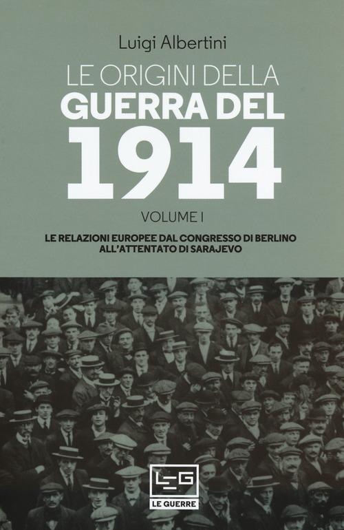 Origini della guerra del 1914