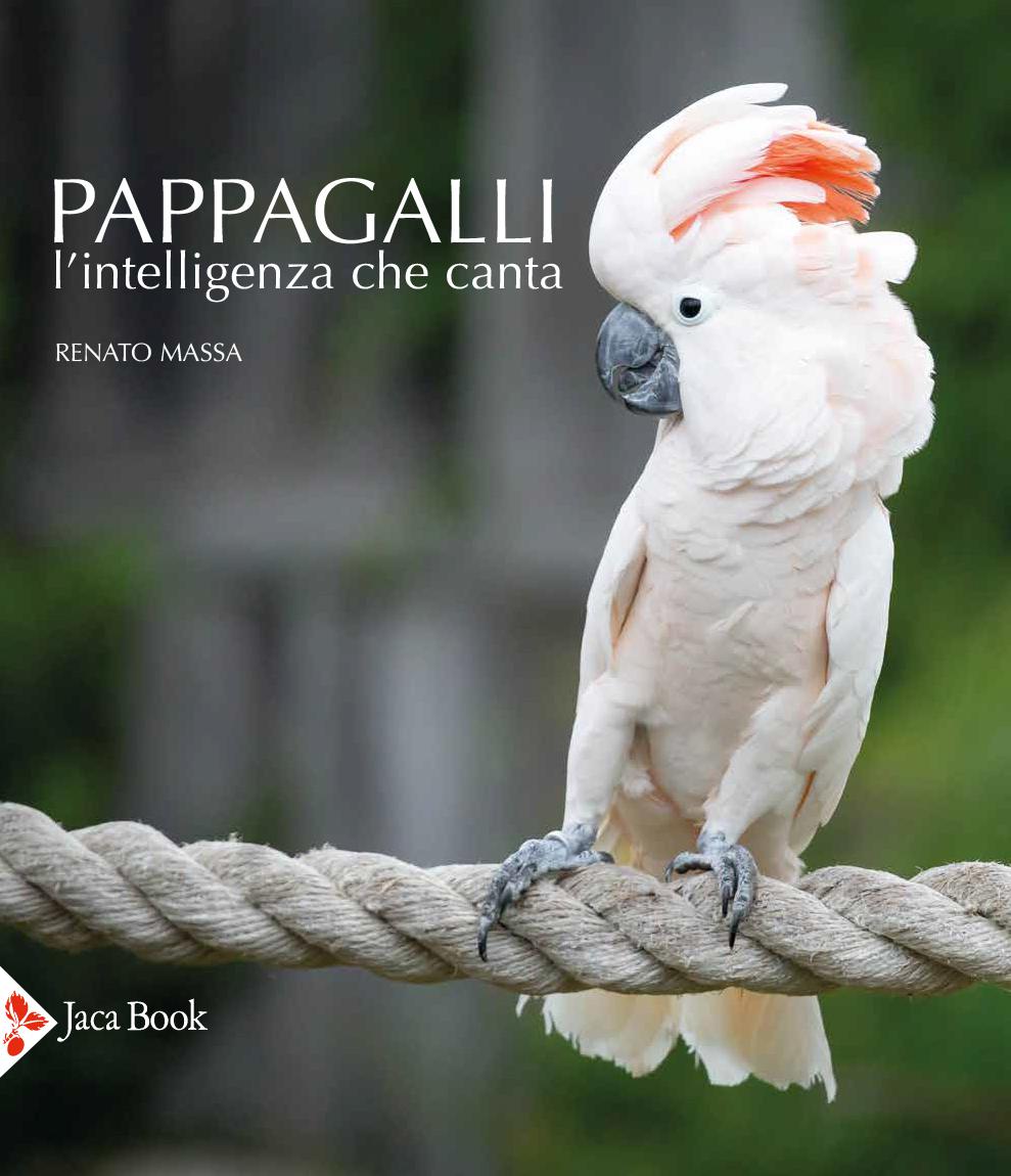 Pappagalli. l'intelligenza che cant