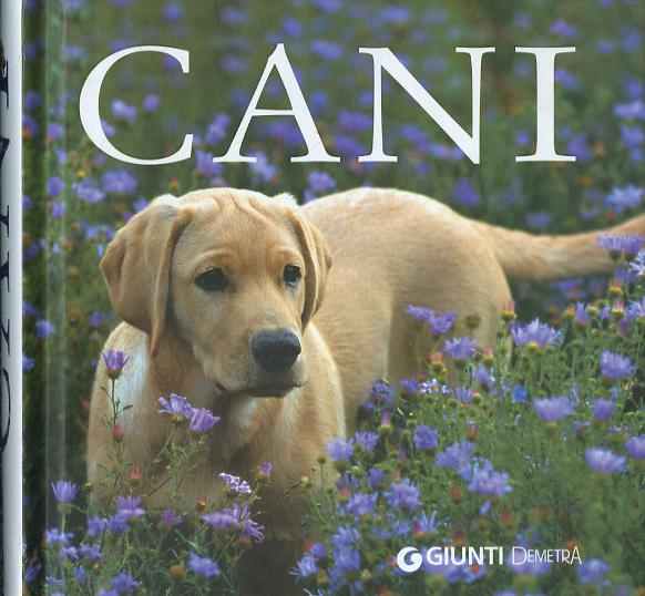 Cani. Ediz. illustrata