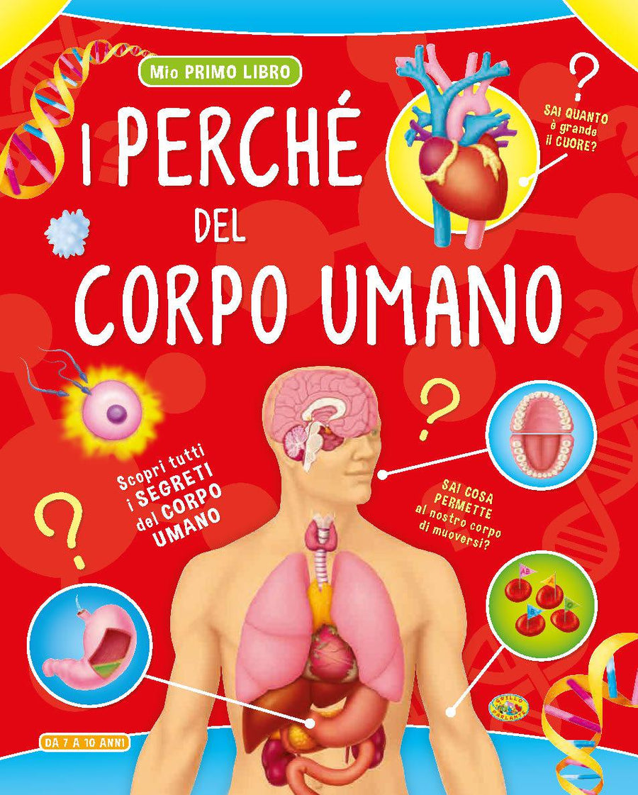 Perche  del corpo umano