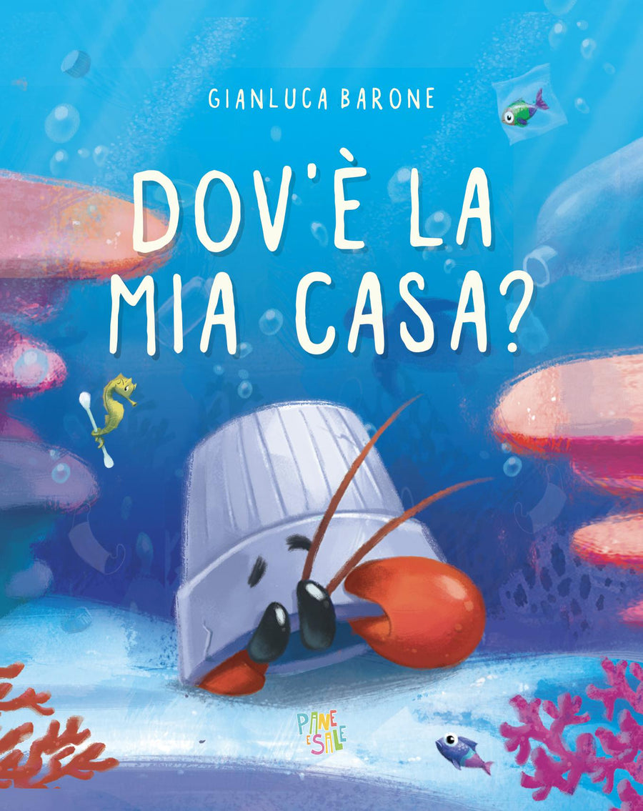 Dov e  la mia casa? Ediz. a colori