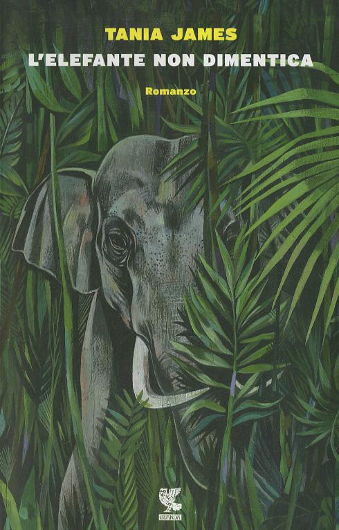 Elefante non dimentica