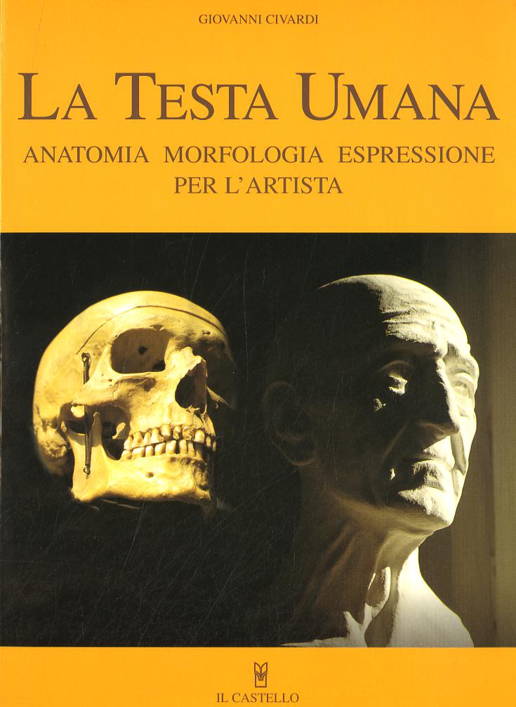 Testa umana