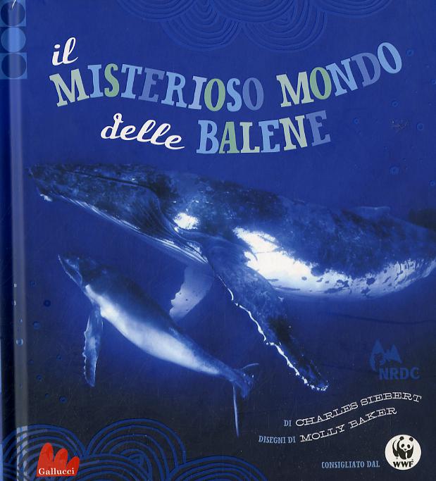 Misterioso mondo delle balene