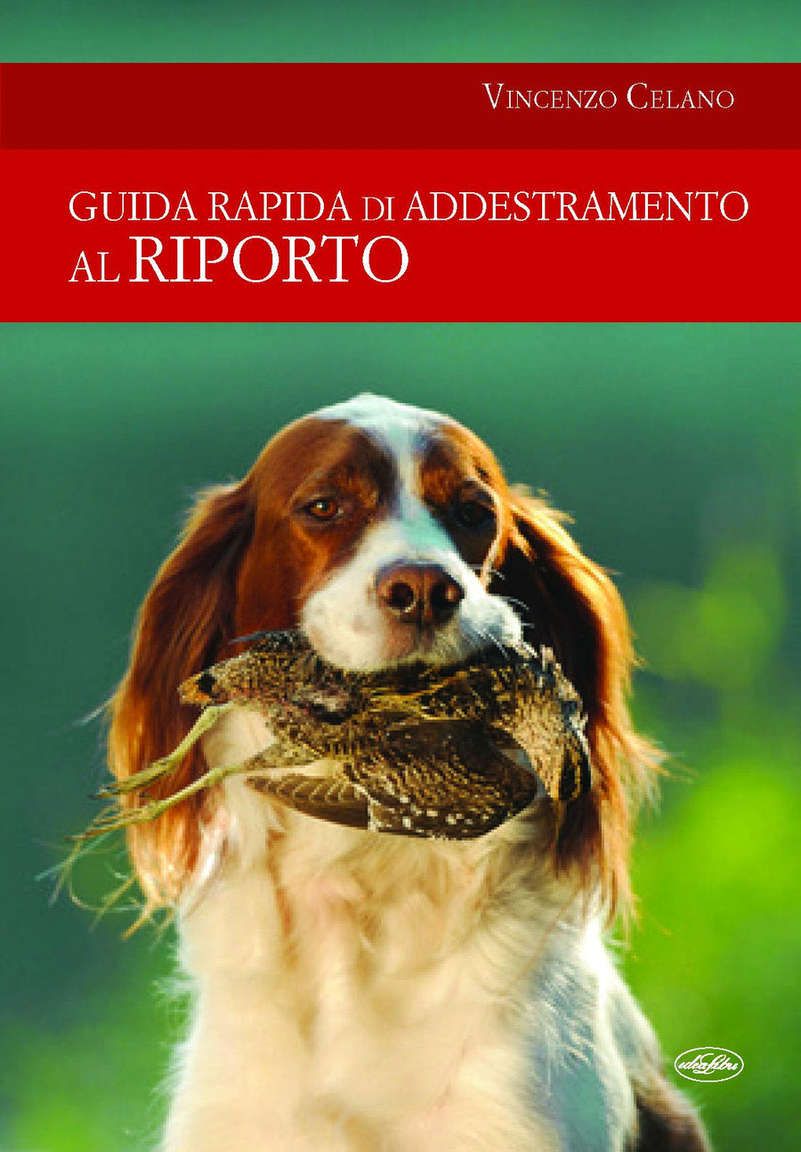 Guida rapida di addestramento al riporto