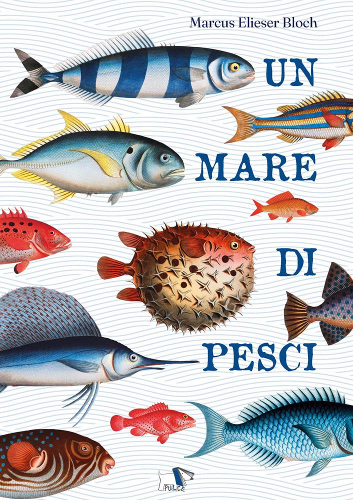 Mare di pesci. Ediz. a colori