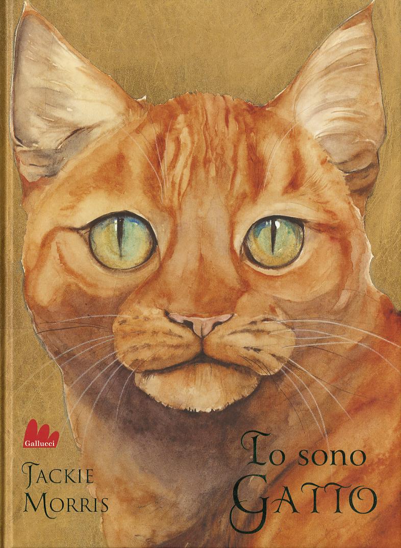 Io sono gatto. Ediz. illustrata