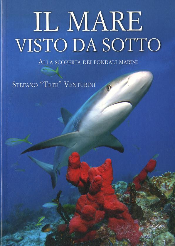 Mare Visto Da Sotto, Il