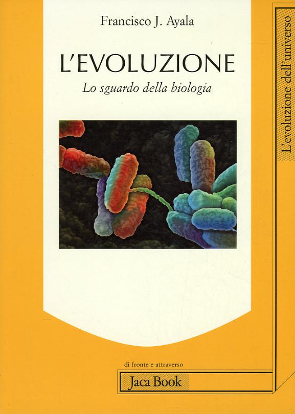 Evoluzione. F.C. Lo Sguardo Della B