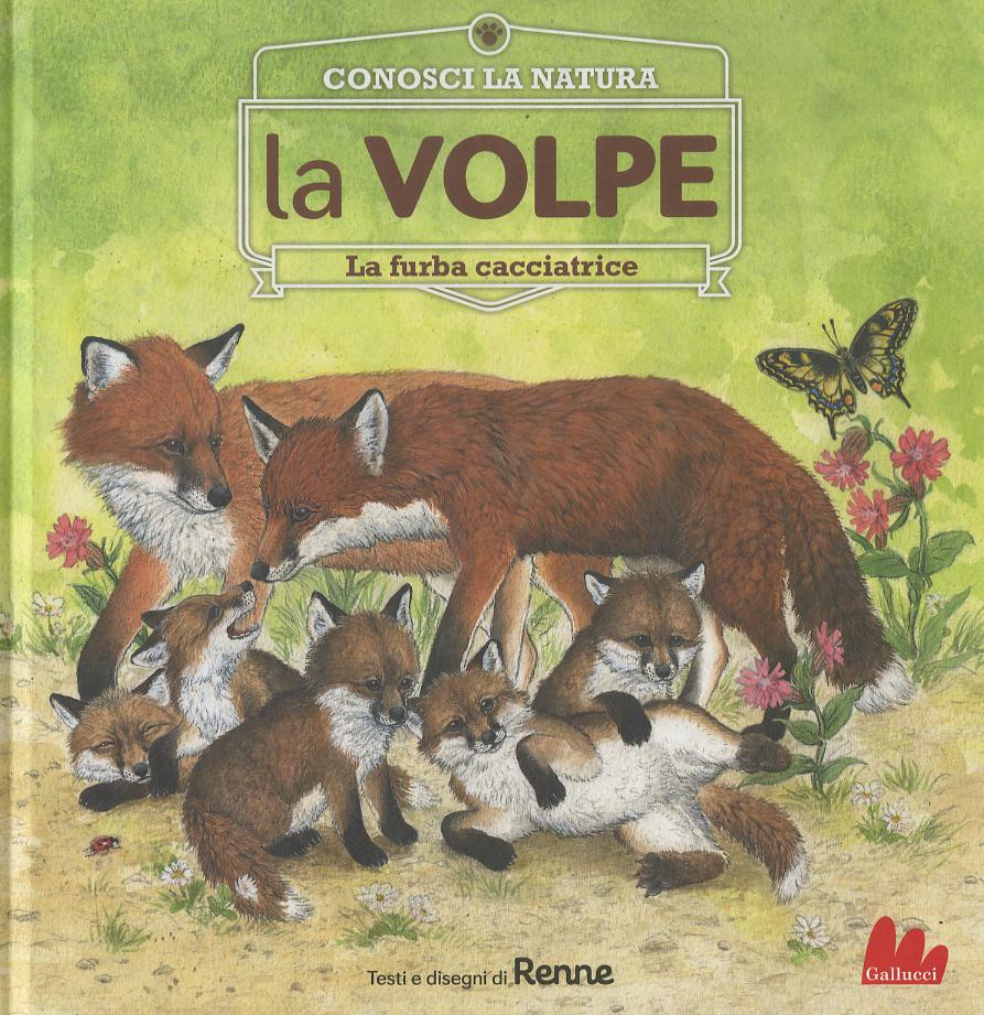 Volpe. La furba cacciatrice. Conosci la natura