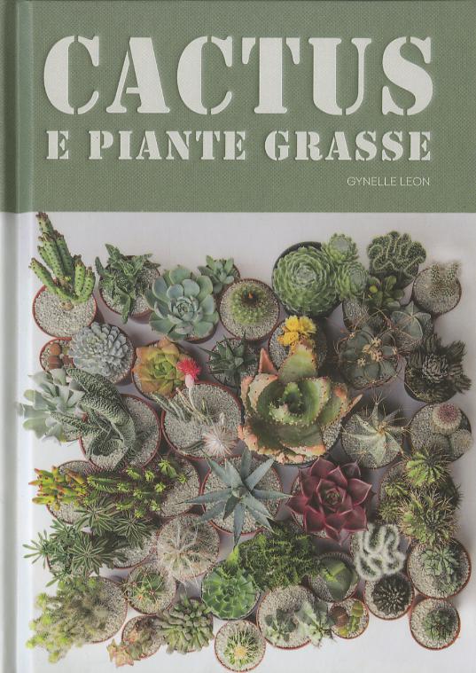 Cactus e piante grasse