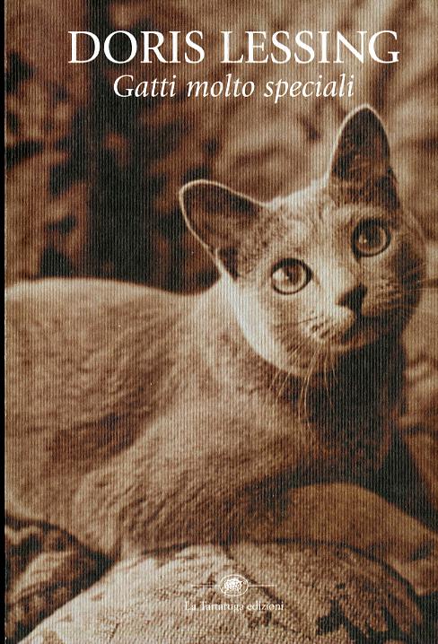 Gatti molto speciali