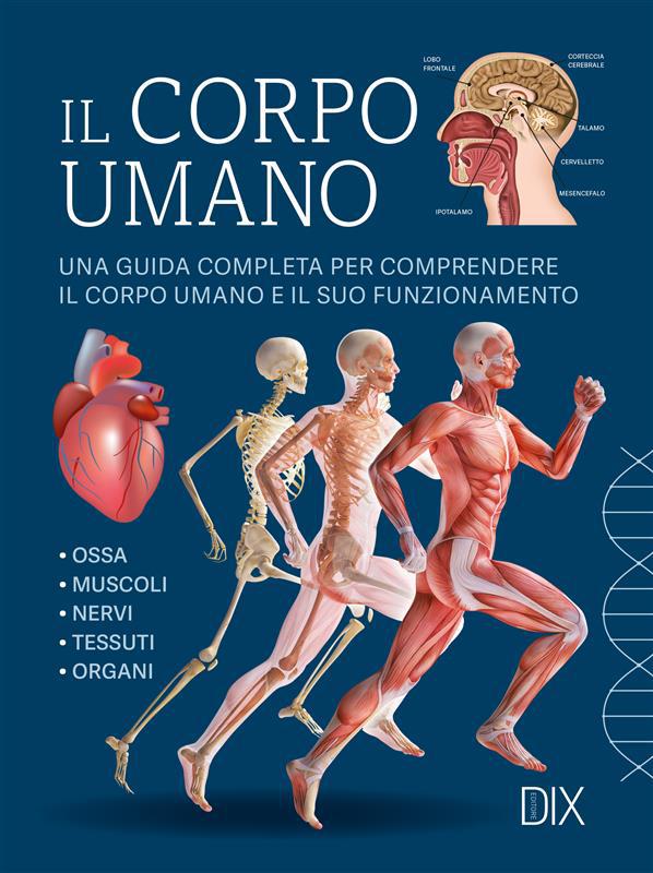 Corpo umano. Ediz. a colori