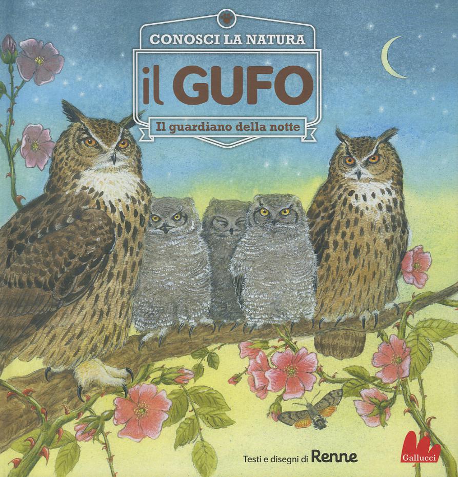 Gufo. Il guardiano della notte. Conosci la natura