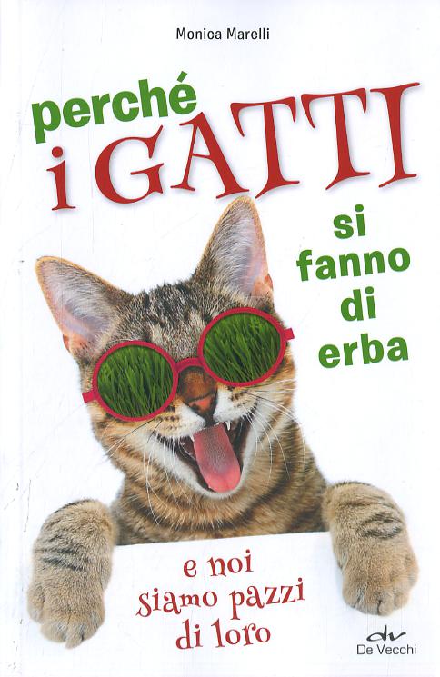 Perche  i gatti si fanno di erba e noi siamo pazzi di loro