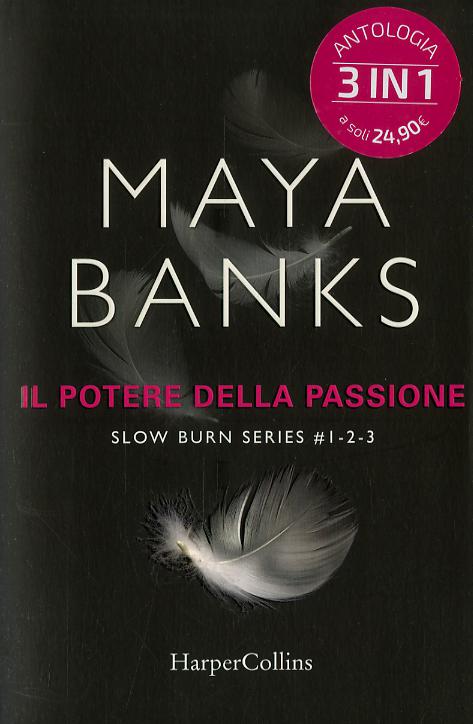 Potere della passione. Slow burn series: Proteggimi-Tienimi-Salvami