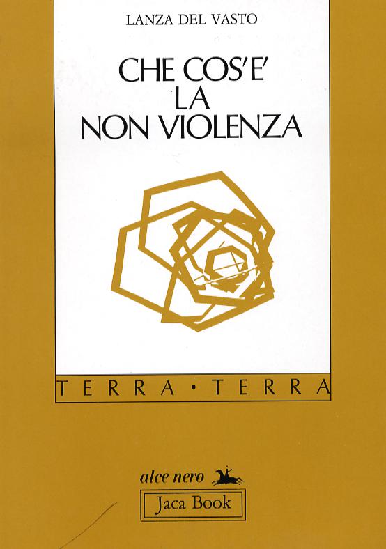 Che cos e  la non violenza
