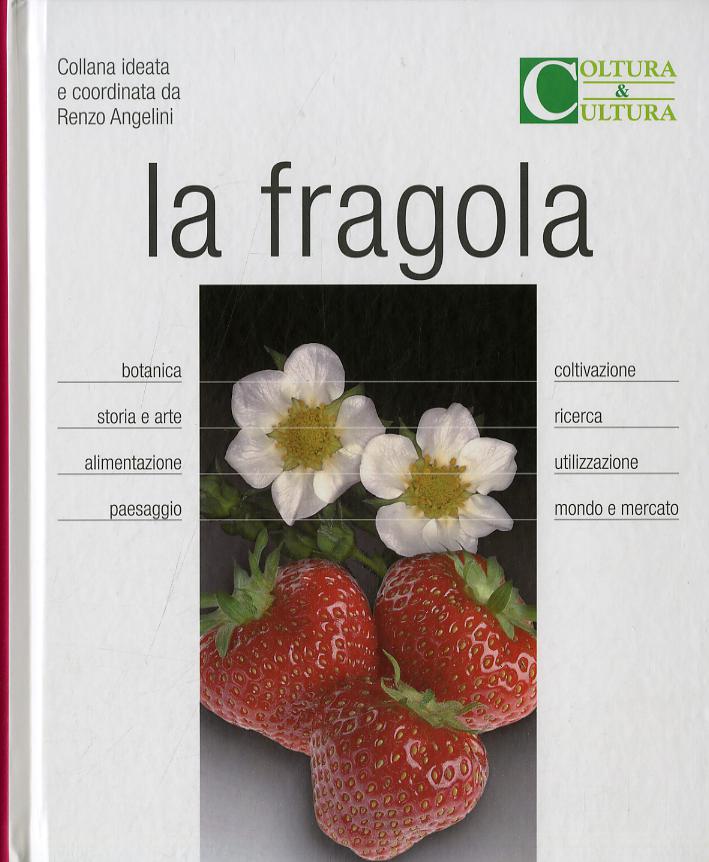 Fragola