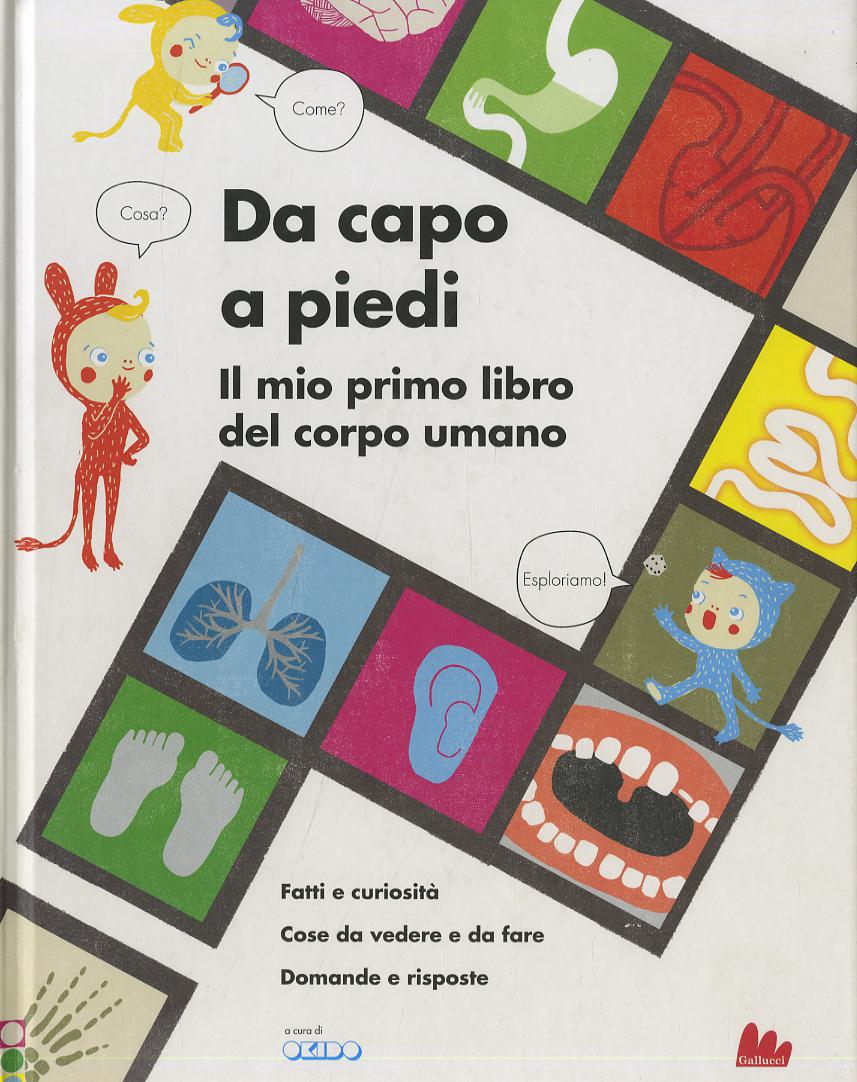 Da capo a piedi. Il mio primo libro del corpo umano. Fatti e curiosita . Cose da vedere e da fare. Domande e risposte. Ediz. illustrata