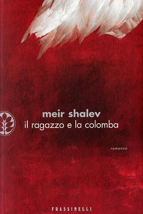 Ragazzo e la colomba