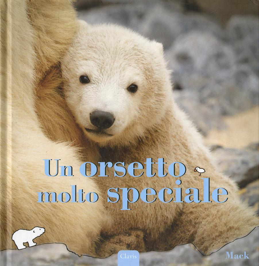 Orsetto molto speciale. Ediz. illustrata