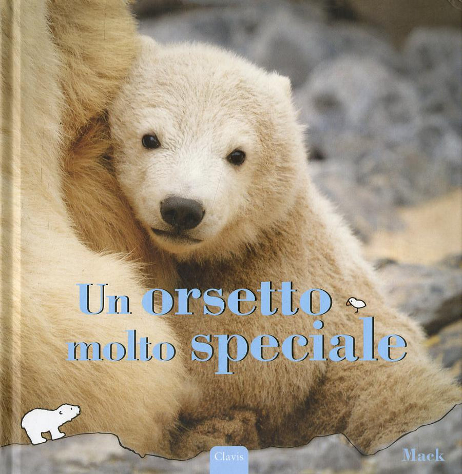 Orsetto molto speciale. Ediz. illustrata