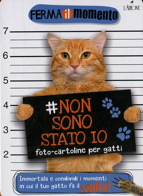 Non sono stato io. Foto-cartoline per gatti